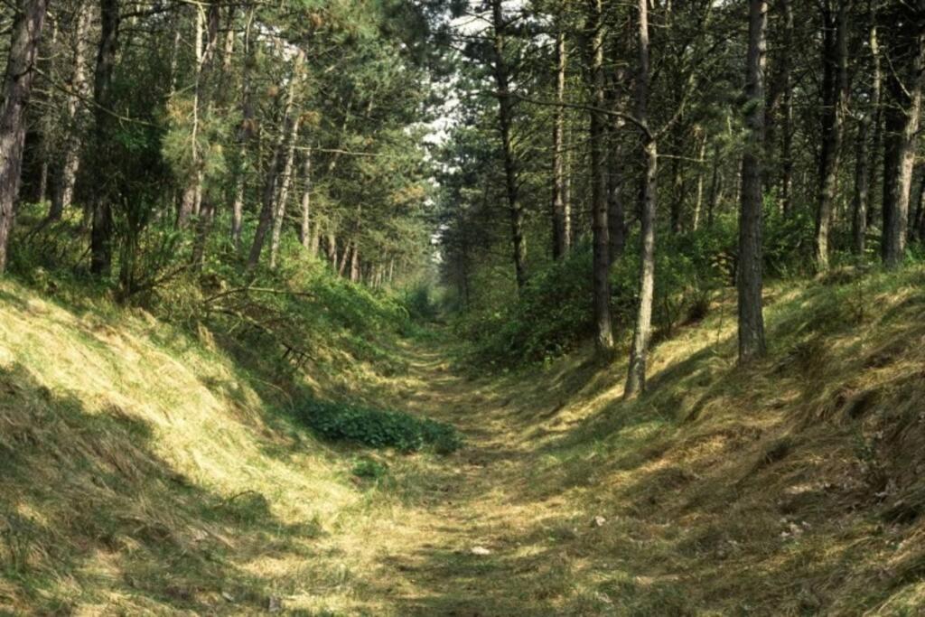 Bij de duinen 300 meter van de zee gratis wifi huisdieren toegestaan thuiswerkplek Julianadorp Buitenkant foto