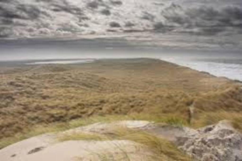 Bij de duinen 300 meter van de zee gratis wifi huisdieren toegestaan thuiswerkplek Julianadorp Buitenkant foto
