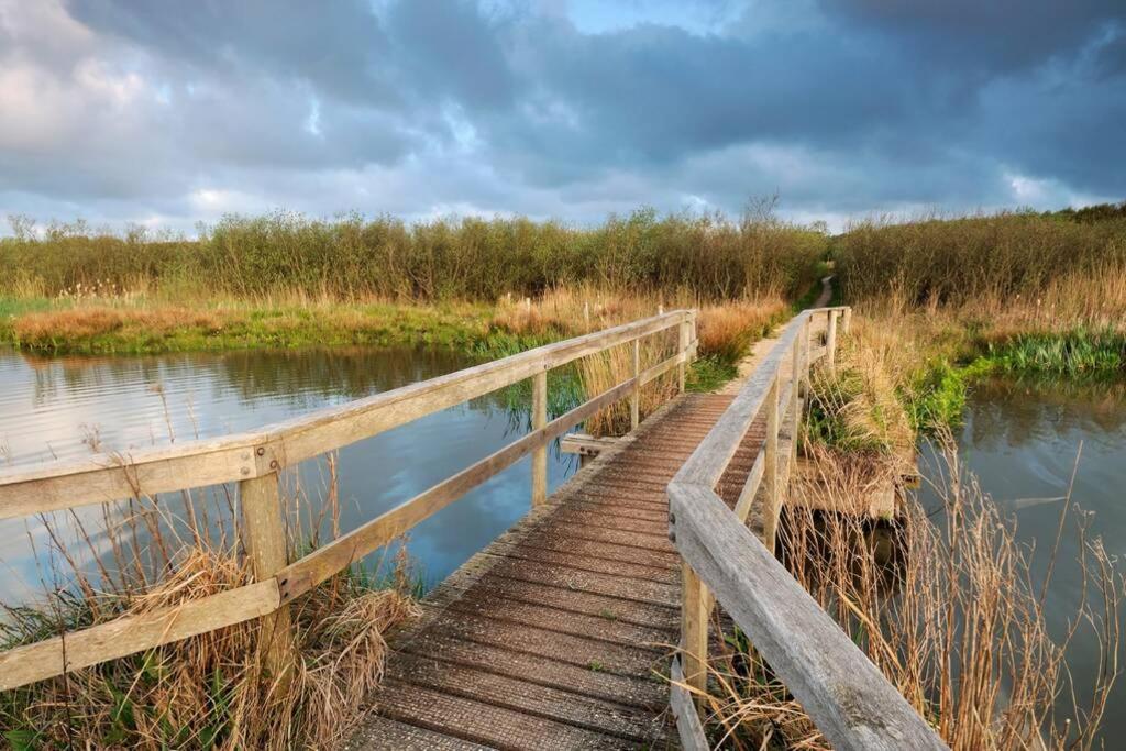 Bij de duinen 300 meter van de zee gratis wifi huisdieren toegestaan thuiswerkplek Julianadorp Buitenkant foto